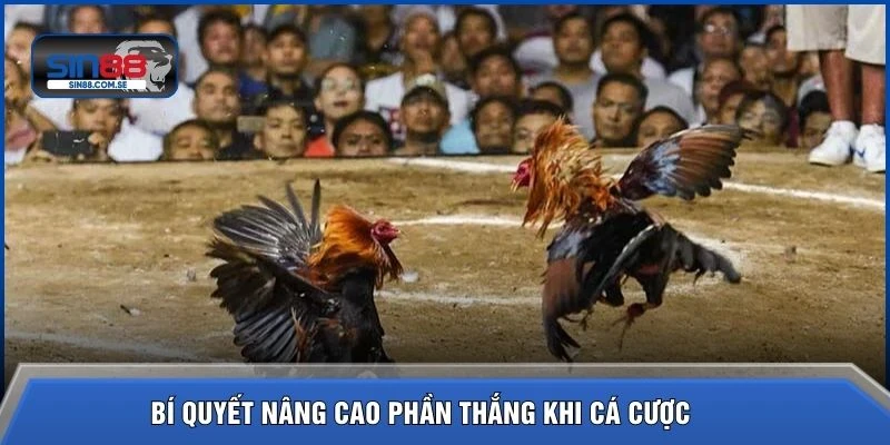 Bí quyết nâng cao phần thắng khi cá cược 