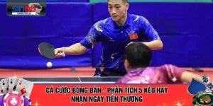 Cá Cược Bóng Bàn - Phân Tích 5 Kèo Hay Nhận Ngay Tiền Thưởng