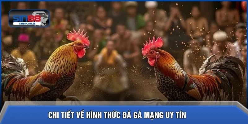 Chi tiết về hình thức đá gà mạng uy tín 