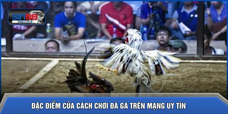 Đặc điểm của cách chơi đá gà trên mạng uy tín  