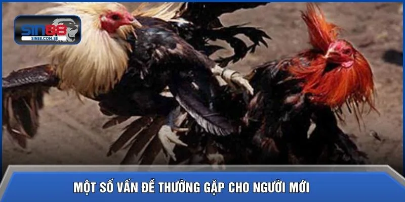 Một số vấn đề thường gặp cho người mới 