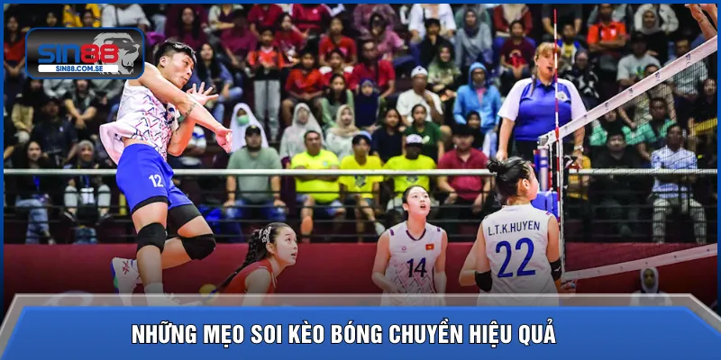 Những mẹo soi kèo bóng chuyền hiệu quả