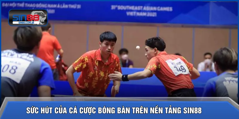 Sức hút của cá cược bóng bàn trên nền tảng SIN88