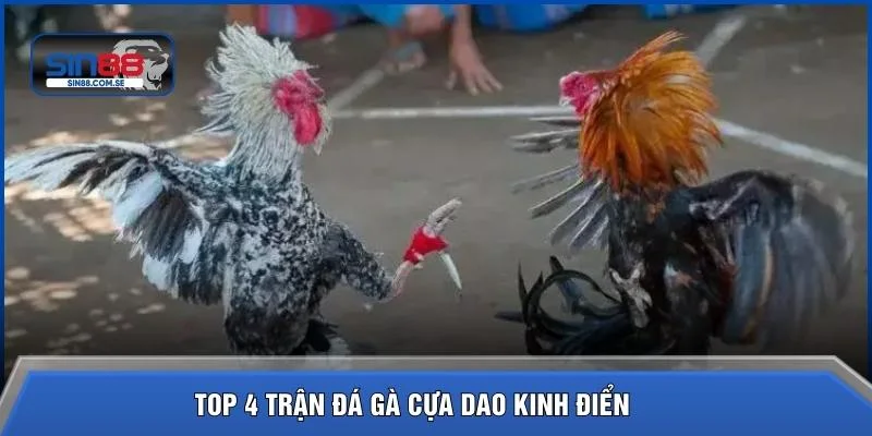 TOP 4 trận đá gà cựa dao kinh điển 
